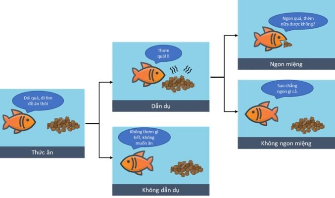 Tính chất dẫn dụ trong thức ăn thủy sản