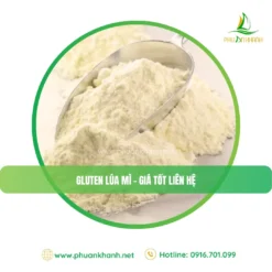 Gluten lúa mì