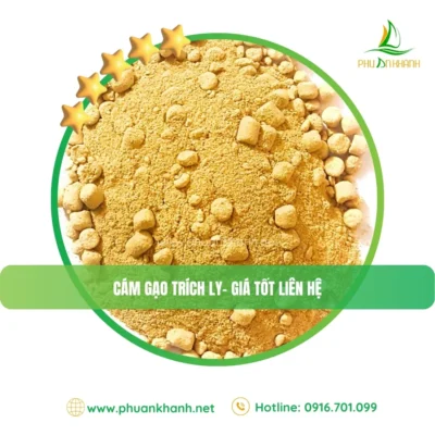 cám gạo trích ly