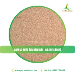 Alternative view of Cám mì