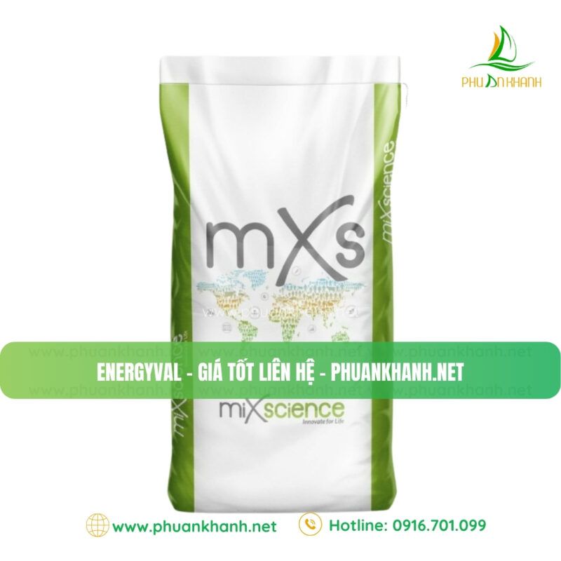 PHÚ AN KHÁNH – ĐƠN VỊ PHÂN PHỐI NÔNG SẢN VÀ ĐẠM THỨC ĂN CHĂN NUÔI