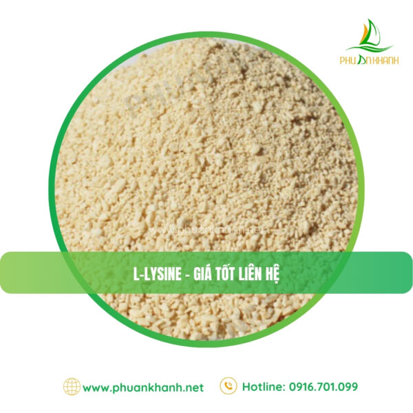 LYSINE