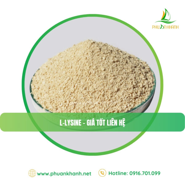 LYSINE