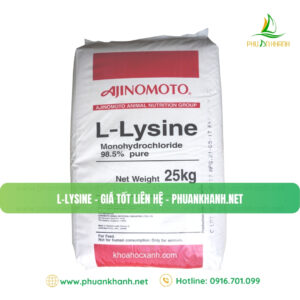 LYSINE