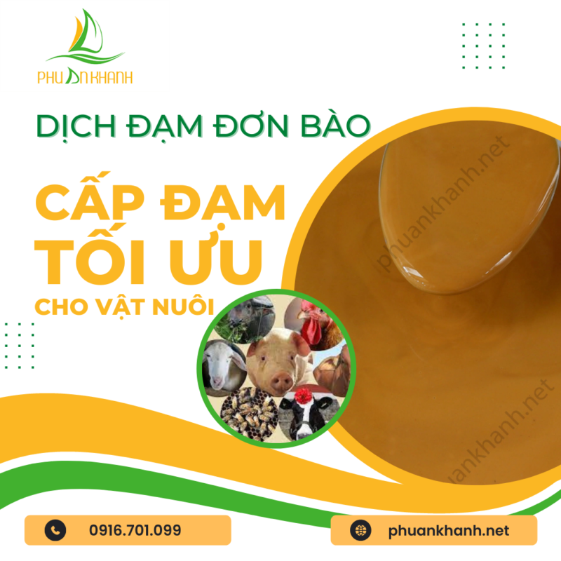 PHÚ AN KHÁNH – ĐƠN VỊ PHÂN PHỐI NÔNG SẢN VÀ ĐẠM THỨC ĂN CHĂN NUÔI