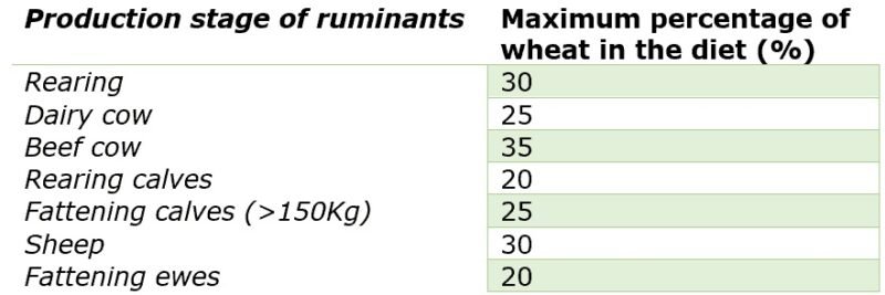Bảng 3. Giá trị tối đa của lúa mì trong khẩu phần ăn của động vật nhai lại. Lấy từ (de Blas, et. al., 2019).