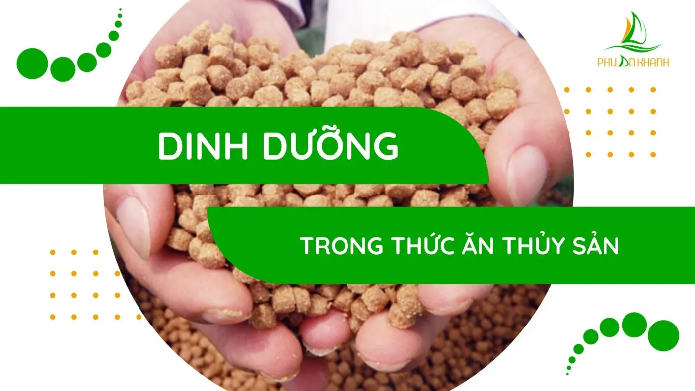 dinh dưỡng trong thức ăn thủy sản