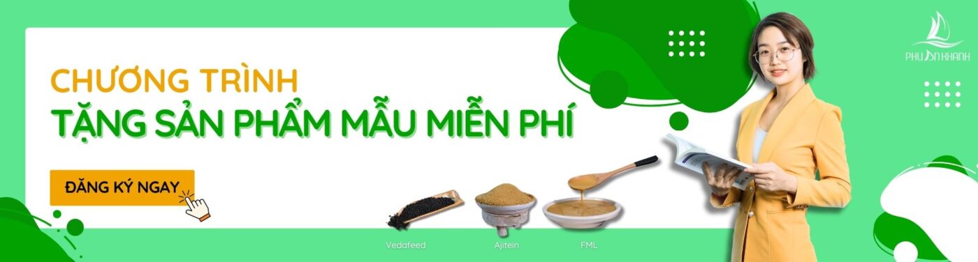PHÚ AN KHÁNH – ĐƠN VỊ PHÂN PHỐI NÔNG SẢN VÀ ĐẠM THỨC ĂN CHĂN NUÔI