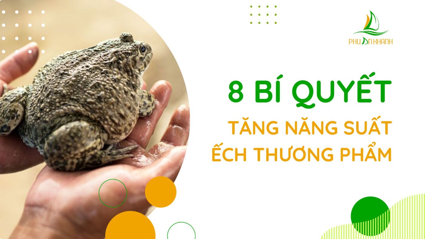nuoi-ech-thuong-pham