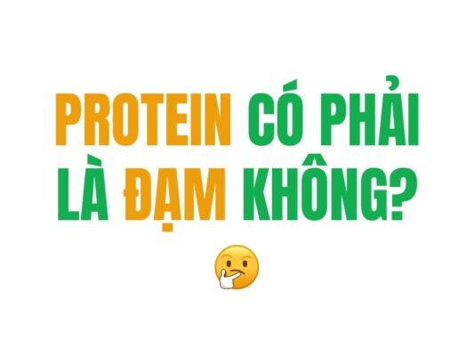 protein có phải là đạm không