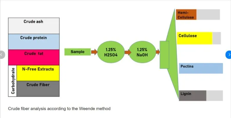 crude fiber là gì crude fiber là gì