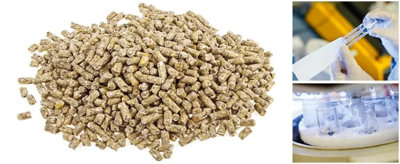 crude fiber là gì crude fiber là gì