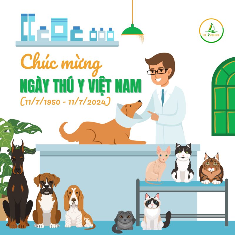 PHÚ AN KHÁNH – ĐƠN VỊ PHÂN PHỐI NÔNG SẢN VÀ ĐẠM THỨC ĂN CHĂN NUÔI