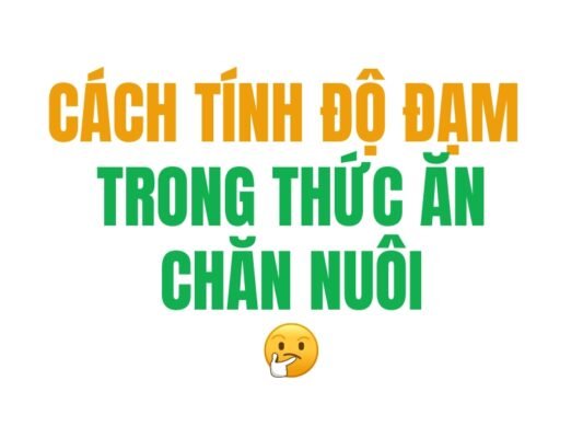 Cách tính độ đạm trong thức ăn chăn nuôi