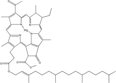 nito phi protein