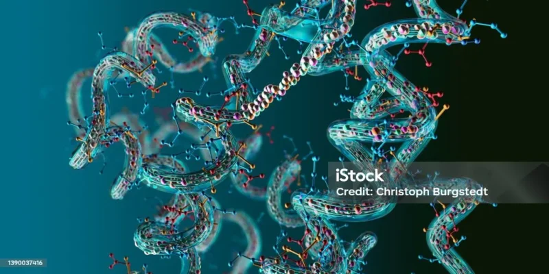 công dụng của protein
