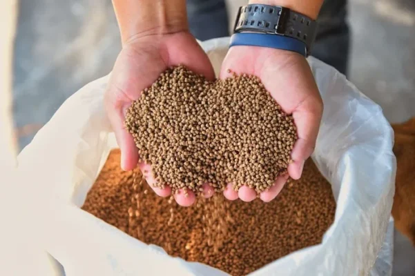 công dụng của protein