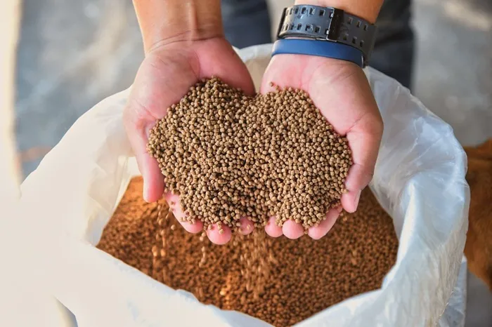 công dụng của protein