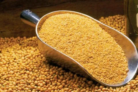 Thành phần dinh dưỡng của bã đậu nành