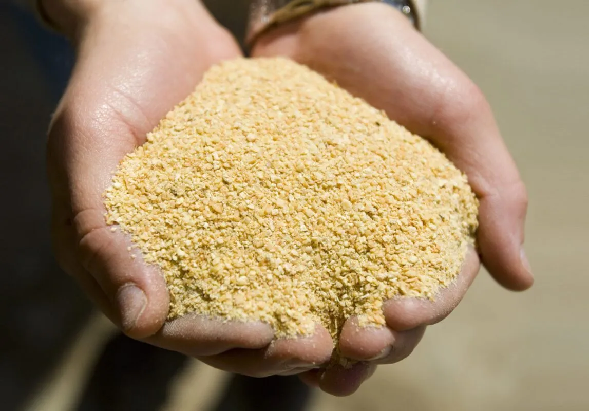 khô đậu tương là gì