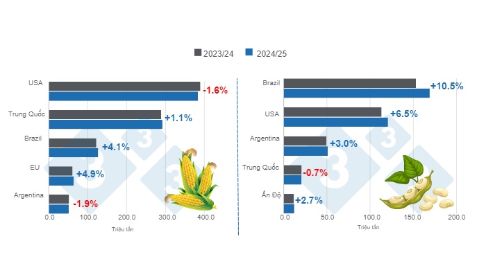 Dự Báo Ngô Và Đậu Nành Của USDA