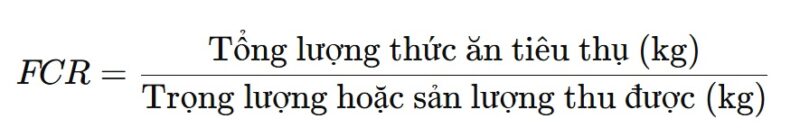 Công thức tính FCR