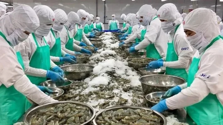 Ngành tôm Việt tăng trưởng giữa “cơn bão” thuế quan tại Mỹ