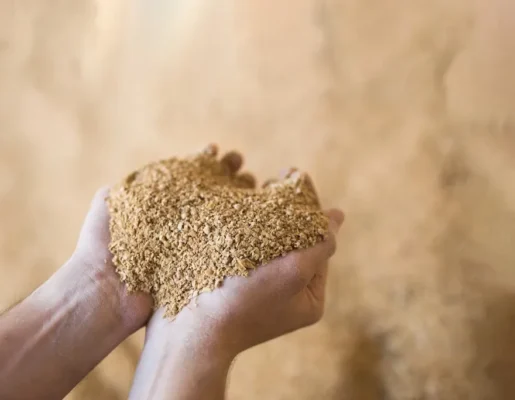 Bã đậu nành khô