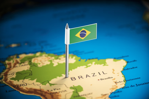 Báo cáo: Sản lượng thức ăn chăn nuôi của Brazil năm 2025 giảm nhẹ vì cúm gia cầm HPAI