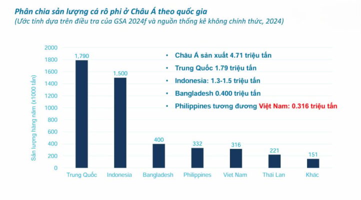 cá rô phi việt nam cá rô phi việt nam