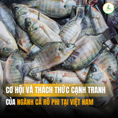cá rô phi