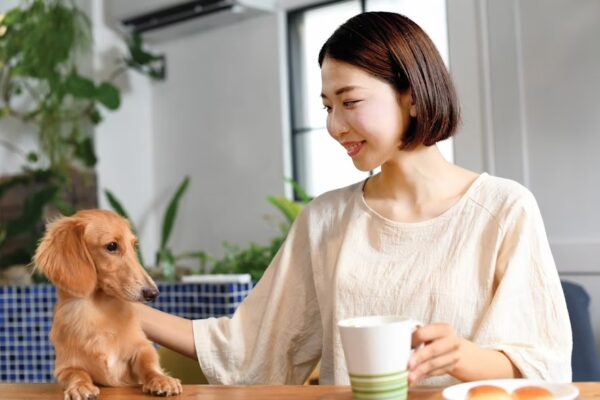 5 xu hướng thúc đẩy tăng trưởng thị trường thức ăn thú cưng ở châu Á và toàn cầu