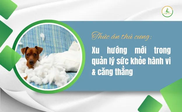 thức ăn thú cưng