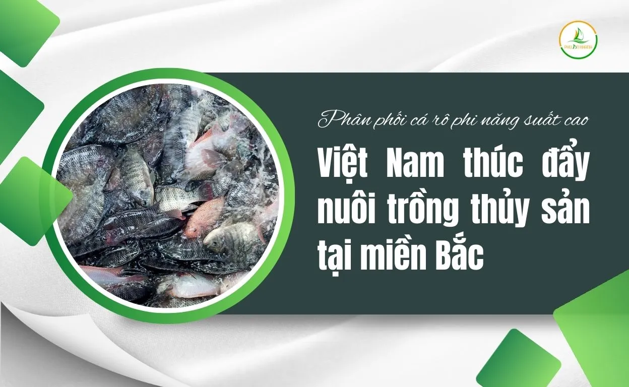 thúc đẩy nuôi trồng thủy sản tại miền Bắc