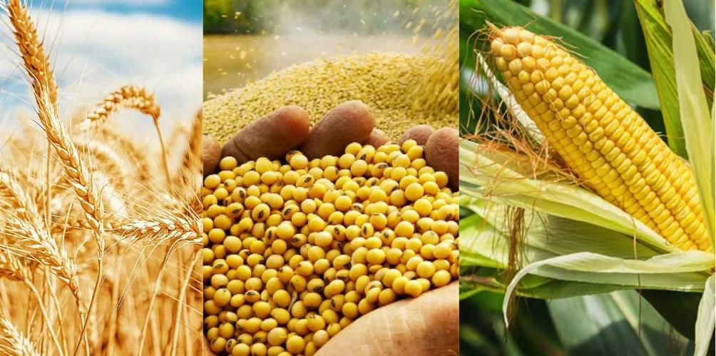 diễn biến thị trường nông sản