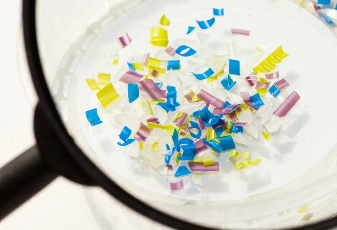 Vi nhựa làm suy giảm quá trình lên men dạ cỏ: Mối nguy mới cho ngành chăn nuôi và sức khỏe con người