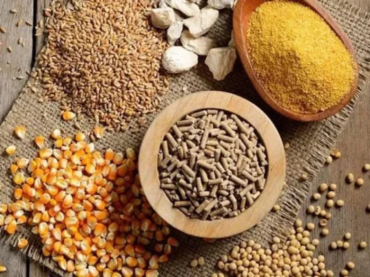 xuất khẩu thức ăn gia súc