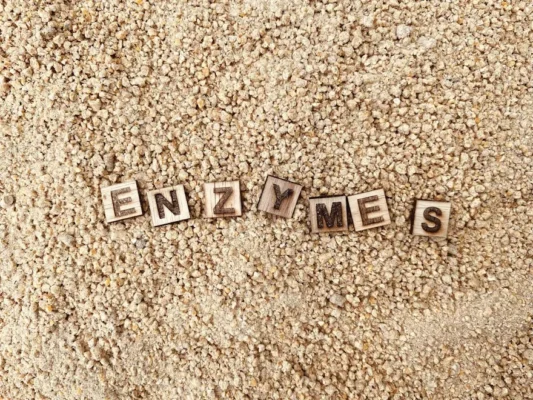 13 loại phụ gia cho dinh dưỡng gà thịt: Từ nhà vô địch đến tiềm năng chưa khai phá