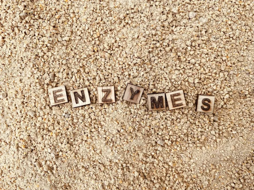 13 loại phụ gia cho dinh dưỡng gà thịt: Từ nhà vô địch đến tiềm năng chưa khai phá