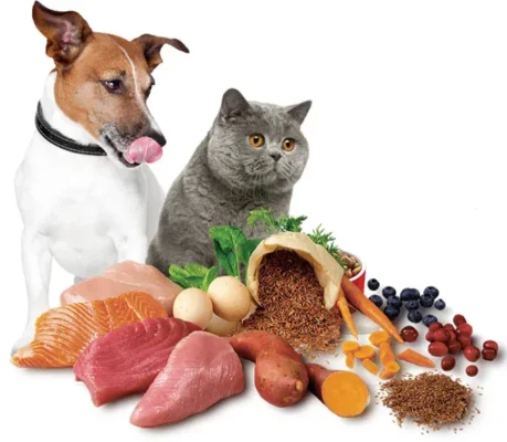 thức ăn thú cưng thức ăn thú cưng