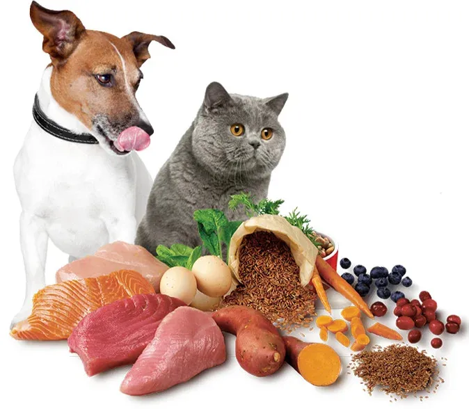 thức ăn thú cưng