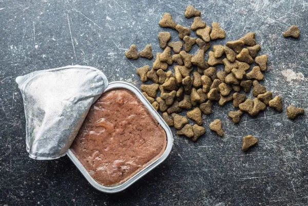 thức ăn thú cưng thức ăn thú cưng