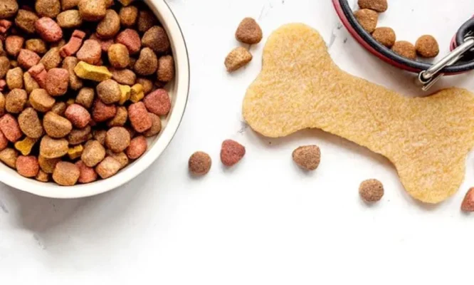 thức ăn thú cưng thức ăn thú cưng